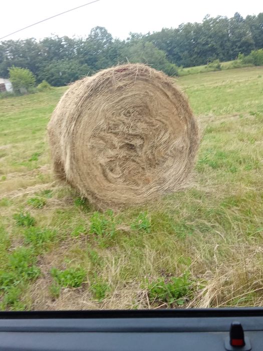 Baloți Lucernă-Fân