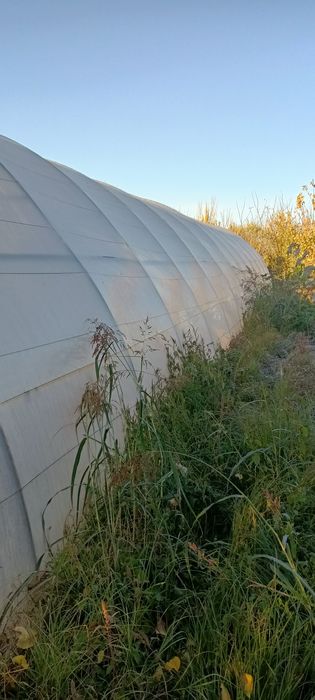 Исикхона сотилади