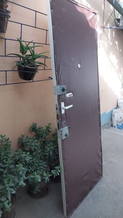 Двери   входные .