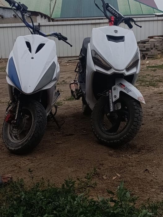 Angel gts peda 1