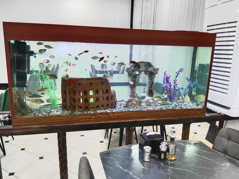 Профессиональная чистка аквариума AQUALIFE