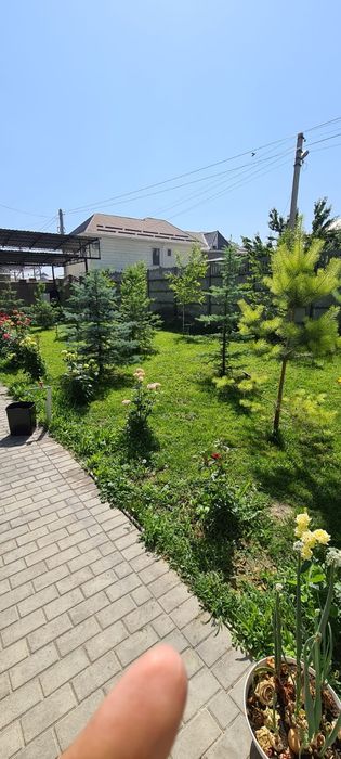 Бесплатно сено,тегін шабылған шөп