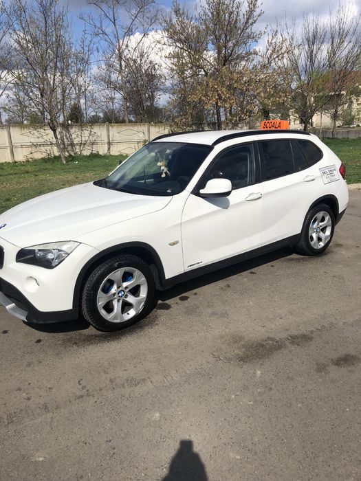 Instructor ~AUTO ~cat ,,B”