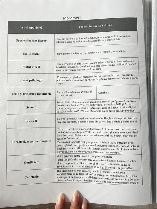 Portofoliu materie pentru Bacalaureat limba română