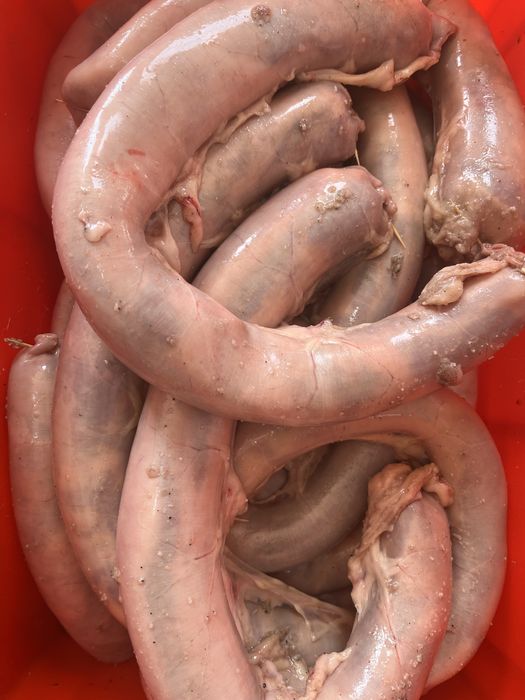 Соғым жылқы еті, конина