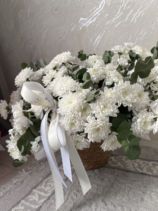 Цветы продам срочно срочно