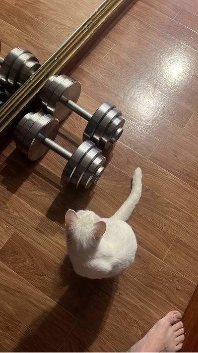 Гантели разборные 30кг каждая