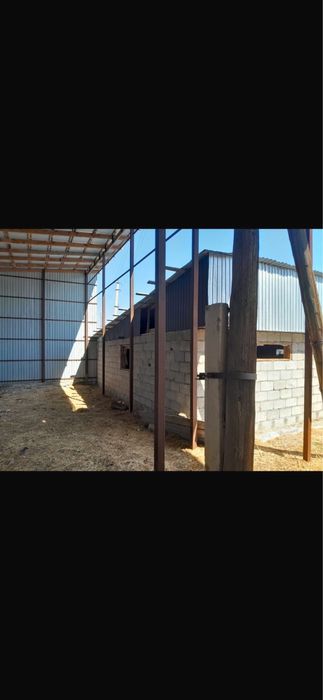 Продам откормочную базу