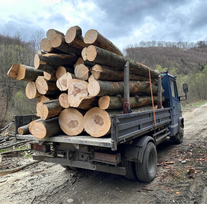 Lemn de Foc Fag, tot judetul Huneodara !!! Cele mai bune preturi!!