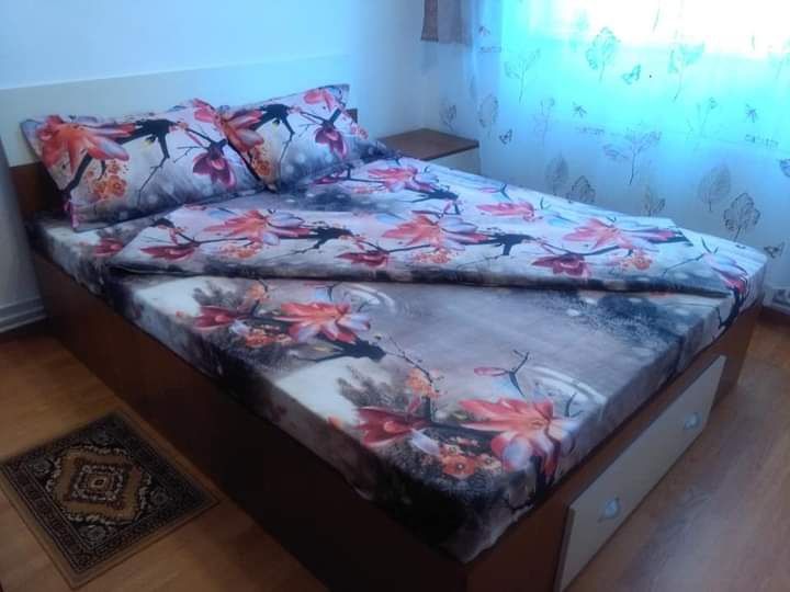 Apartament 2 camere de închiriat în Sinaia