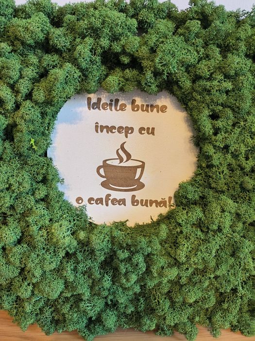 Tablou Coffee realizat din licheni stabilizati
