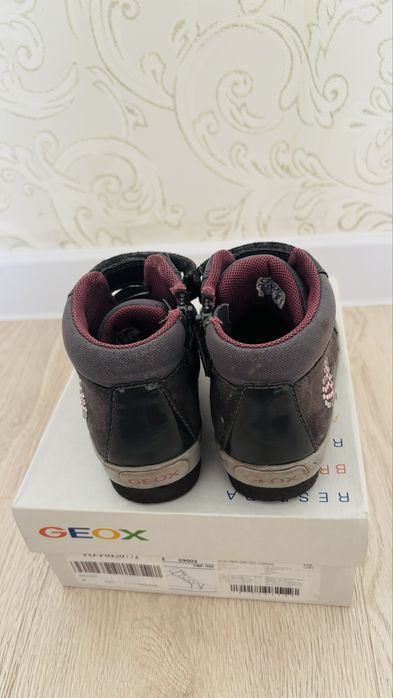 Ботинки Geox+ кеды garvalin