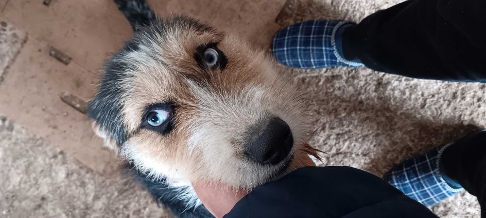 Подарява се смесен барак