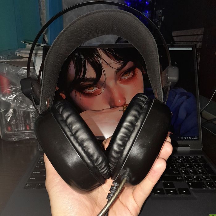 Наушник Havit H2016d