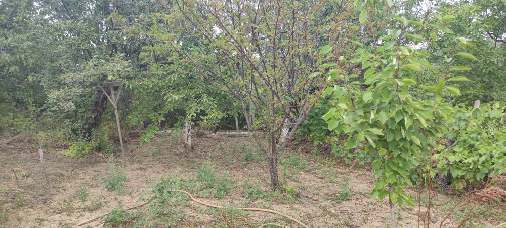 Продава се Къща в Айтос - 40 кв.м за 891 €/кв.м - Снимка #9