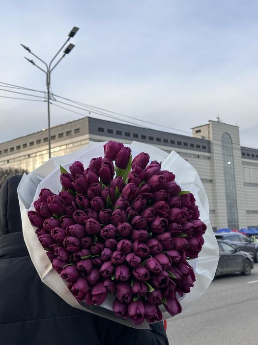 Тюльпаны по хорошей цене