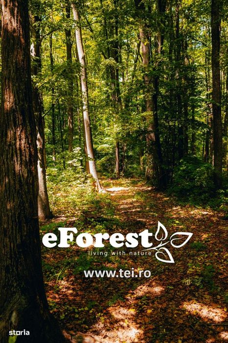 Profită acum de oferta de Paște! Langa padure. zona verde - eForest