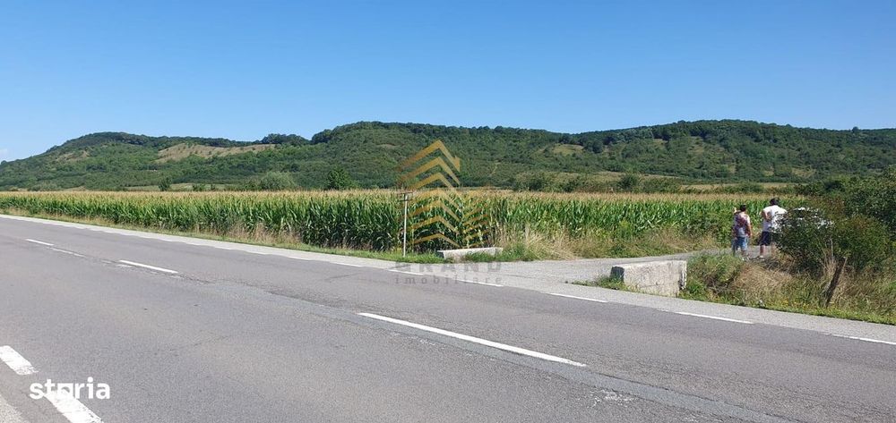 Teren De Vanzare Podirei | 10 Arii Intravilan | 48 Arii Extravilan