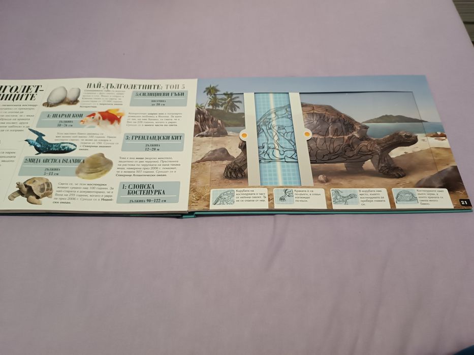 Енциклопедия за животни