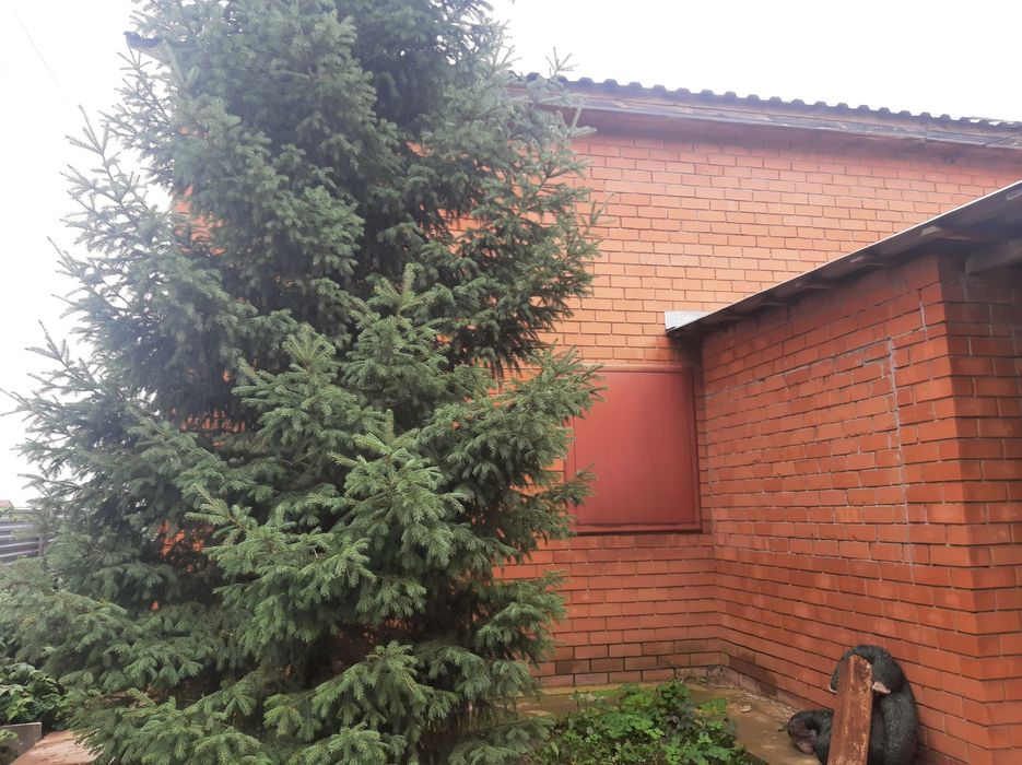 Продам дачу в СНТ "Водолей", район Байконур, г. Астана