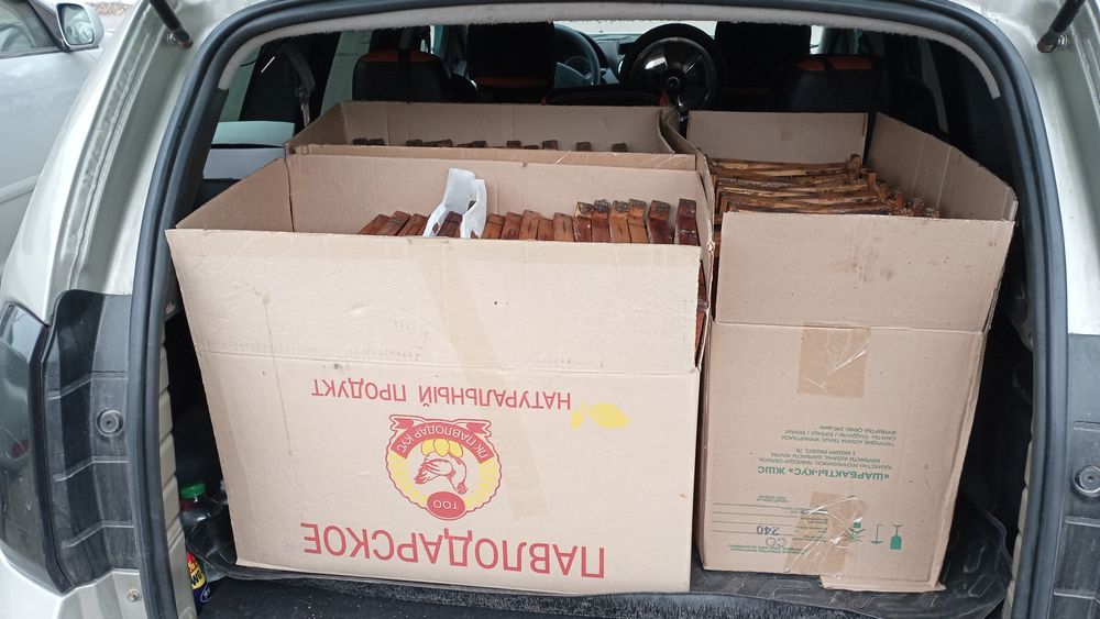 Сушь (рамки для пчел)