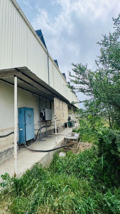 Muzlatgich va keng dala maydoni ijaraga beriladi