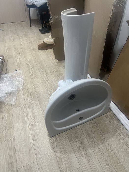 Тюльпан раковина новый обсалютно