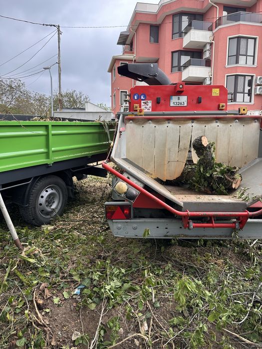 Рязане на дървета, санитарна сеч, дробене на клони, извозване
