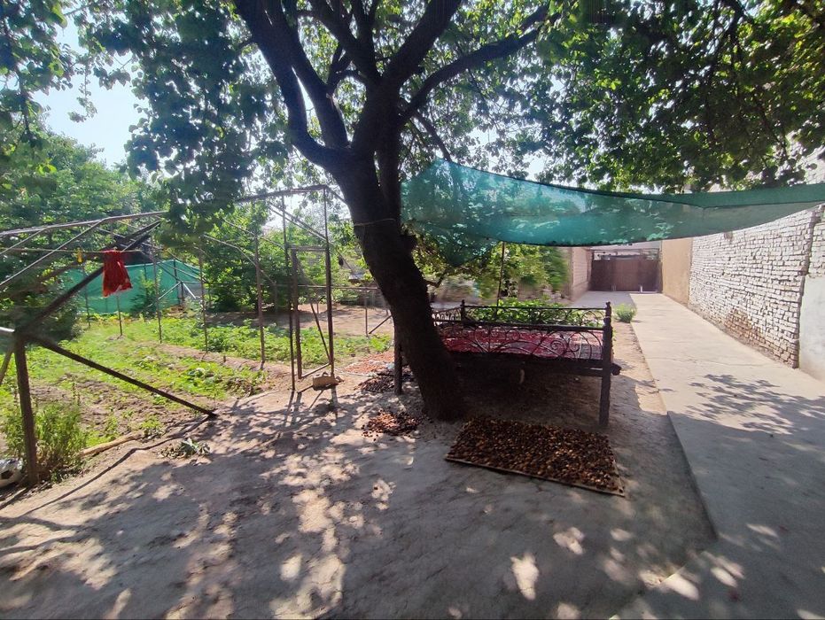 Towken wahri mirzo ulugbek