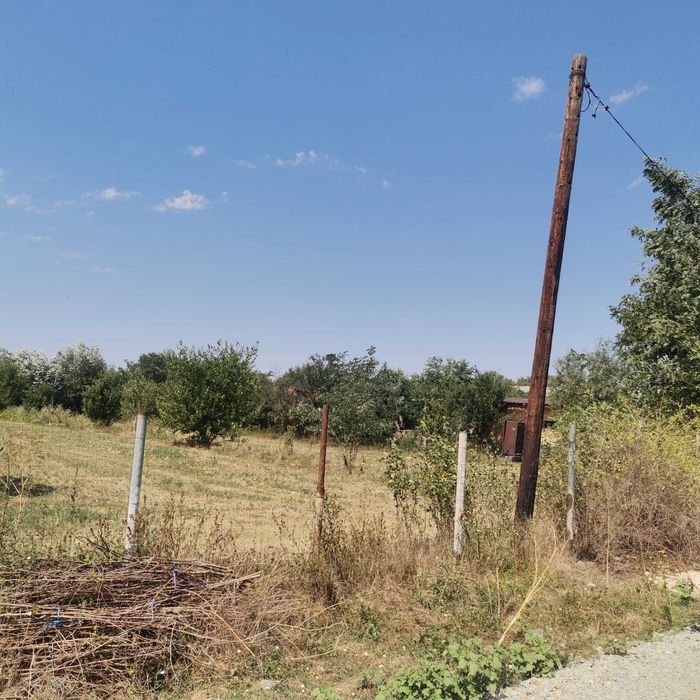 Teren Intravilan Braniștari – 1.000 mp | Utilități + Asfalt