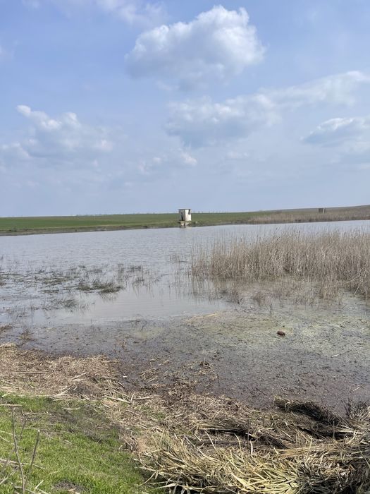 Vând Balta Pescuit!!