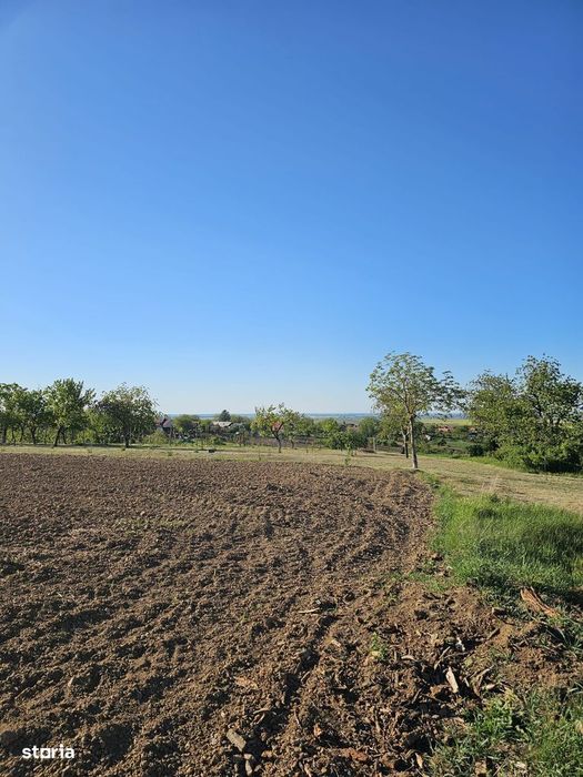 Teren intravilan Cetariu 5000 mp