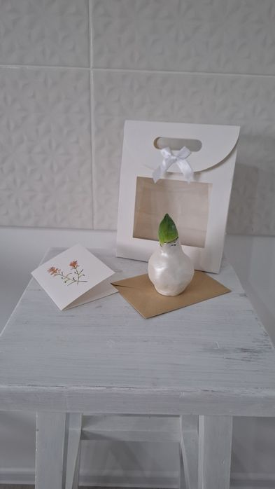 Луковицы амариллиса в воске