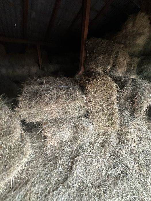 Vând baloti fân din