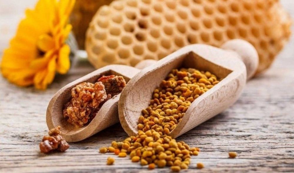 Прополис пчелиный