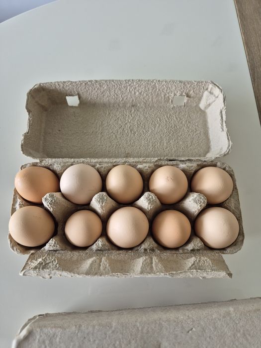 Oua de gaina pentru consum