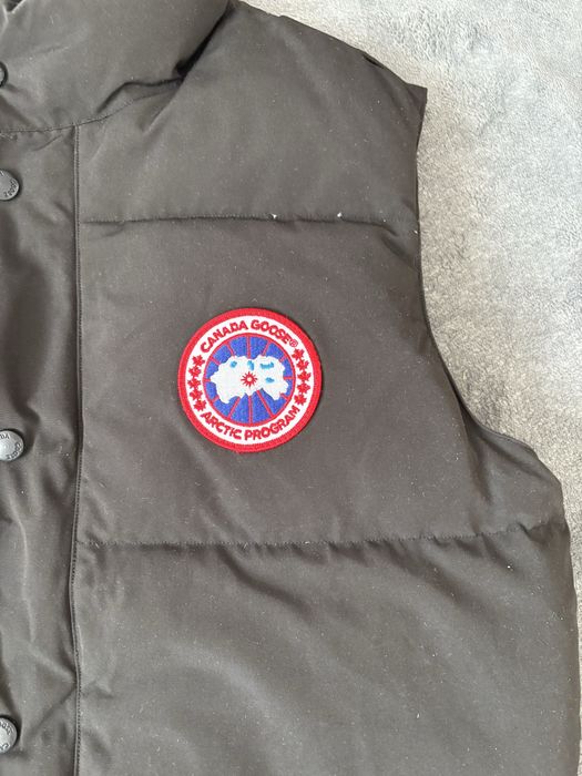 Vesta canada goose