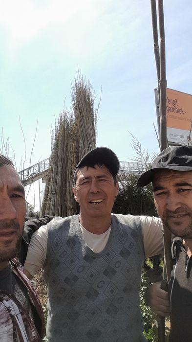 Mevali va terak kochatlar