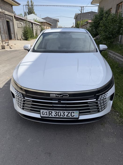 BYD Chazor 2024