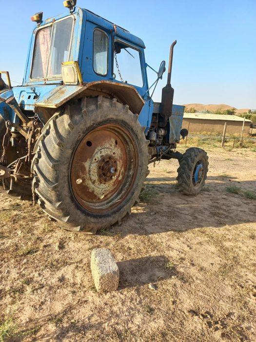 На хаду. Сокасы бар