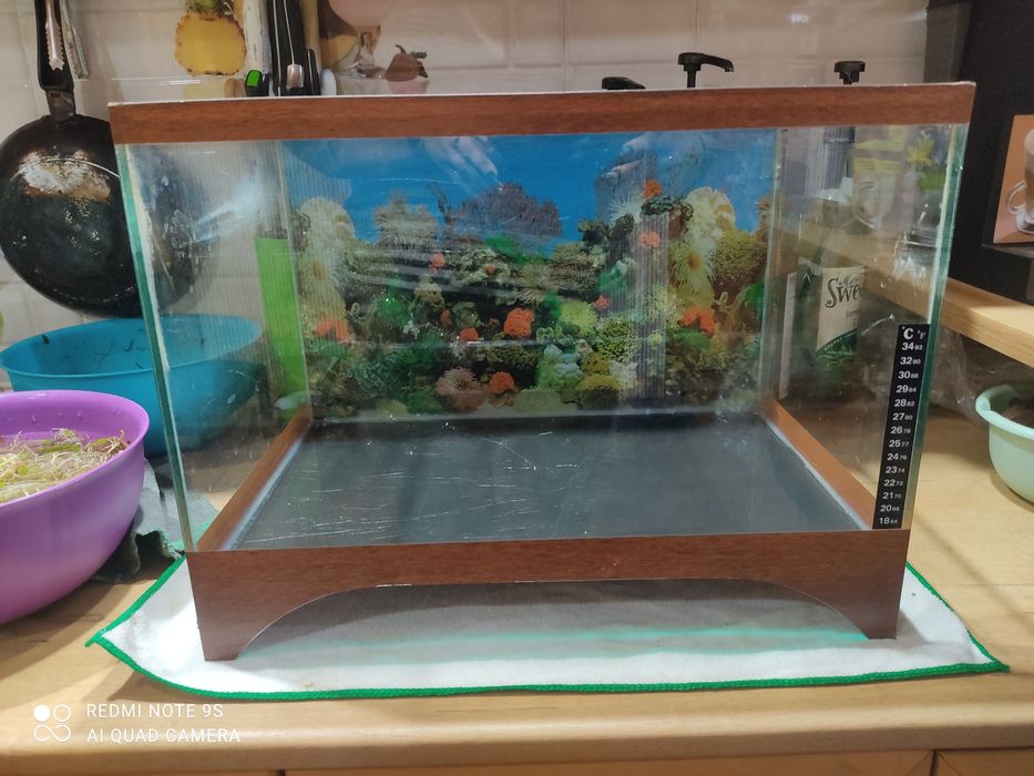 Продам аквариум 35 литров