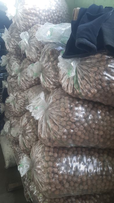 Орехи грецкие жангак