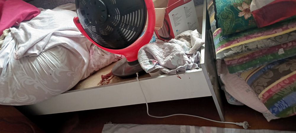 Shularni hammsi sotiladi kelishtrib berib yuboramiz