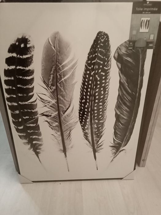 Картина Перья птичьи