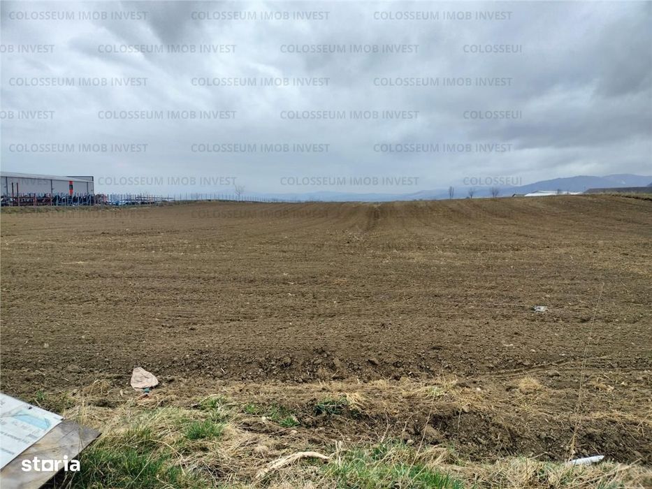 Oportunitate! Teren Industrial - Zona Darste