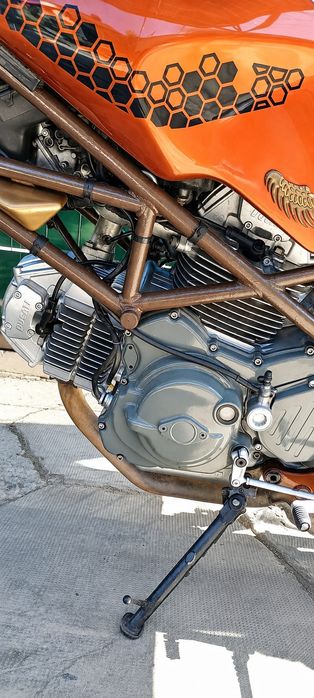 Ducati monster 600