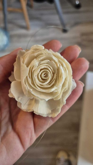 Vand Trandafiri ming 6 cm, cu pretul de 1.45 ron/buc