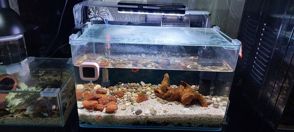 Продаются аквариумы.