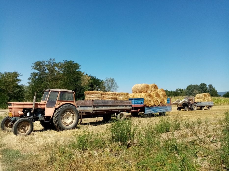 Vand baloti de paie grau si ovaz