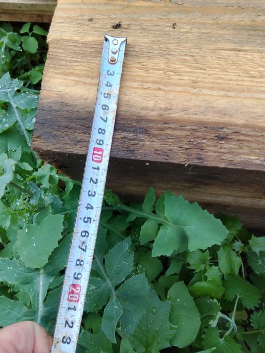 Продам доску обрезную